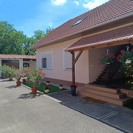 Апартаменты Kamilla Vendeghaz