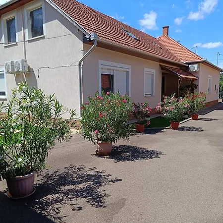 Kamilla Vendeghaz Тисафюред